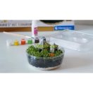 Harry Potter Hagrid Hütte Terrarium Clementoni