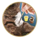 Harry Potter Mandrake Mandrake Modellbausatz Clementoni