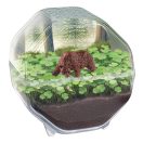 Tiere Bear Mini-Terrarium Clementoni