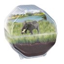 Tiere Elephant Mini-Terrarium Clementoni