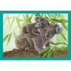 Tiere Baby Cuddles 4 in 1 Puzzle Clementoni