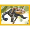 Tiere Baby Cuddles 4 in 1 Puzzle Clementoni