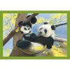 Tiere Baby Cuddles 4 in 1 Puzzle Clementoni