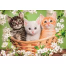 Tiere Brothers in Fur 2x60-teiliges Puzzle Clementoni