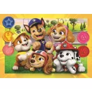Paw Patrol Friends 104-teiliges Clementoni Puzzle