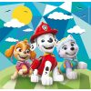 Paw Patrol Beach 3x48 Teile Puzzle Clementoni