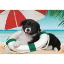 Hund Beach Puzzle mit 104 Teilen von Clementoni