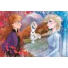 Disney Eiskönigin Contrasts 60-teiliges Maxi-Puzzle Clementoni