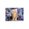 Tiere Ginger Katzen 500-teilige Puzzle Clementoni