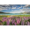 Städte Lake Tekapo Neuseeland 1500 Teile Puzzle Clementoni