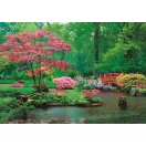 Farbe Raindrops Wald 500 Stk. Peace Puzzle Clementoni