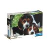 Tiere Beagles Close Together Hund 500-teiliges Puzzle Clementoni