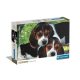 Tiere Beagles Close Together Hund 500-teiliges Puzzle Clementoni