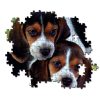 Tiere Beagles Close Together Hund 500-teiliges Puzzle Clementoni