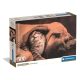 Tiere Cuddles 500-teiliges Compact-Puzzle Clementoni