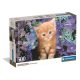 Katze Ginger 500-teiliges Compact puzzle Clementoni