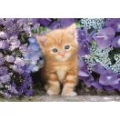 Katze Ginger 500-teiliges Compact puzzle Clementoni
