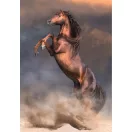 Pferd Wild Stallion 500 Teile Compact Puzzle Clementoni