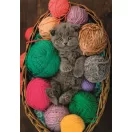 Katze Fluffy 500-teiliges Compact Puzzle Clementoni