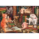 Katze Curious Whiskers 1000-teiliges Compact-Puzzle Clementoni