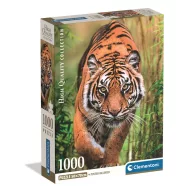   Tiger Hunter's Path 1000-teiliges Compact-Puzzle Clementoni