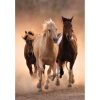 Pferd Running 1000-teiliges Clementoni Puzzle