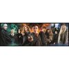 Harry Potter Foe 1000-teiliges Panoramas puzzle Clementoni