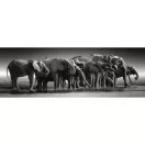 Tiere Herd of Giants Elefant 1000 Stück Panorama Compact Puzzle Clementoni