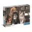 Katze Lovely 1000-teiliges Compact Puzzle Clementoni
