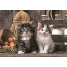 Katze Lovely 1000-teiliges Compact Puzzle Clementoni