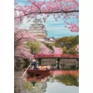 Städte Himeji Japanisches 1000-teiliges Puzzle Clementoni