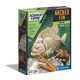 Tiere Archeo Fun Leuchtendes Piranha Archäologie-Set Clementoni