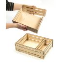 Farbe Organic Gartenwissenschaftliches Set Clementoni