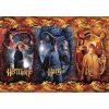 Harry Potter Chamber of Secrets 104-teiliges Clementoni Puzzle