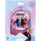 Disney Eiskönigin Adventure Folieballon 45 cm