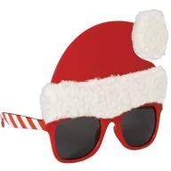 Weihnachten Santa Hat i Brille