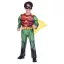 Batman Famulus Robin-Kostüm 3-4 Jahre