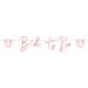 Junggesellinnenabschied Bride To Be Papier Banner 1,5 m