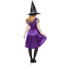 Hexe Movie Purple Willow Erwachsenen Kostüm XS