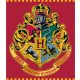 Harry Potter Red Coral Fleece Decke 120x150 cm