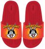 The Looney Tunes 3D Kinder Latschen 25-32
