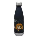 Harry Potter Hogwarts Plastikflasche mit Schraubverschluss 650 ml