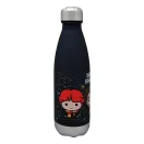 Harry Potter Hogwarts Plastikflasche mit Schraubverschluss 650 ml