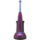 Pirat Love elektrische Zahnbürstenset