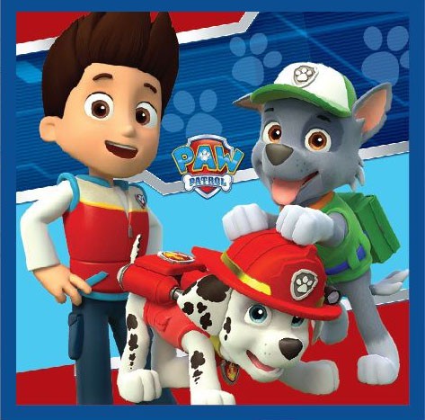 Paw Patrol Magisches Handtuch, Gesichtstuch 30x30 cm