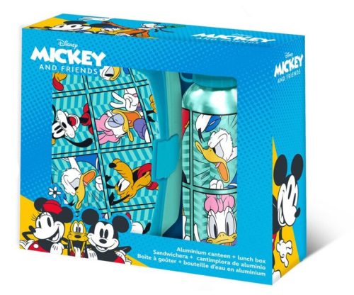 Disney Mickey Friends Brotdose + Aluminiumflasche Set