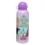 Disney Eiskönigin Amazing Sister Aluminiumflasche mit Trinkverschluss 500 ml