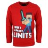 Minecraft Kinder Langärmliges T-Shirt, Oberteil 6-12 Jahre