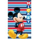 Disney Mickey  Handtuchset
