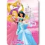 Disney Prinzessin Castle Polarfleecedecke 100x140cm